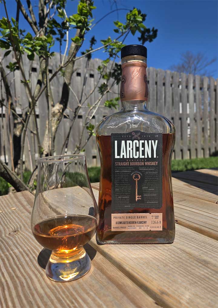 LarcenyPick_Resized