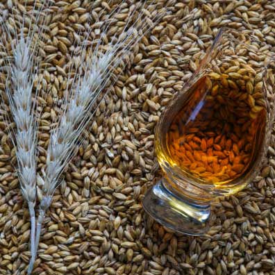 GlassOnGrain
